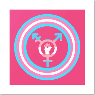 Trans Shield Posters and Art